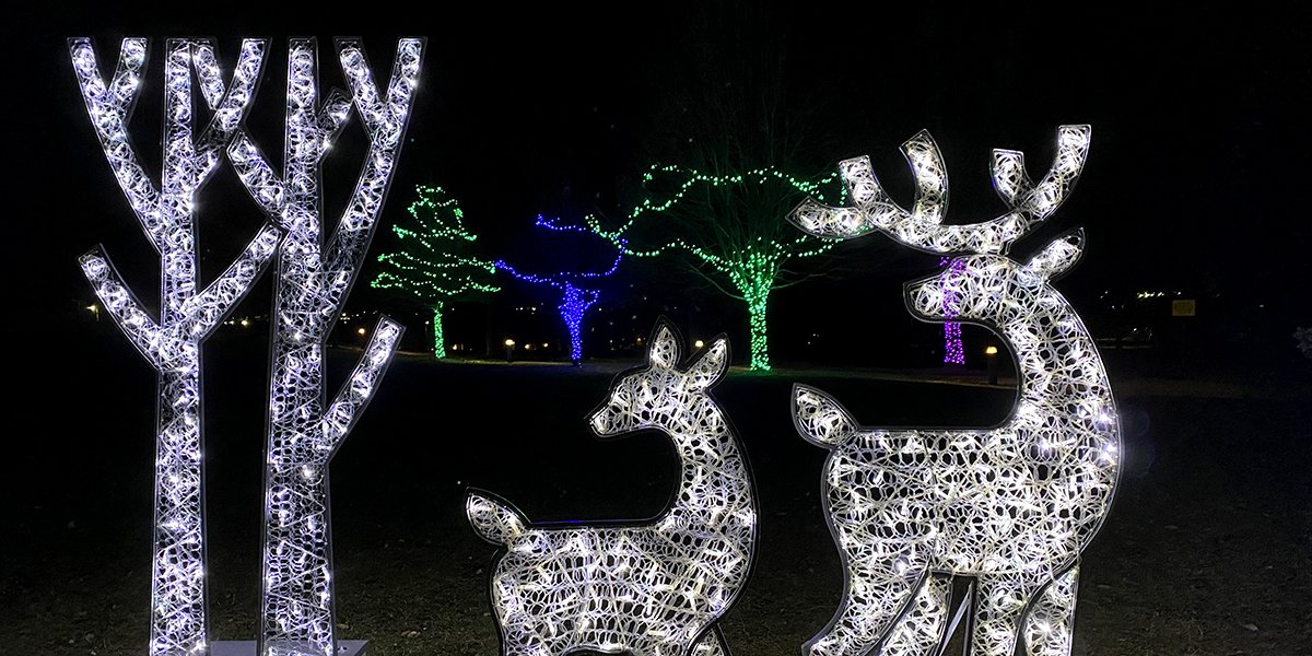 Christmas Lights with trees and deers