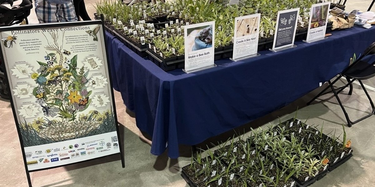 Table with native plants at the Brooklin Spring Fair. 