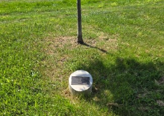 A plaque at the base of a new tree