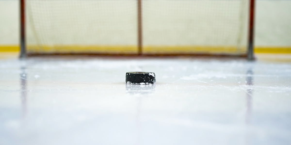 Picture of Hockey Puck and Net