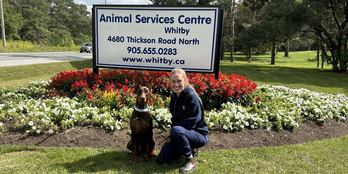 Animal Services team member with dog.
