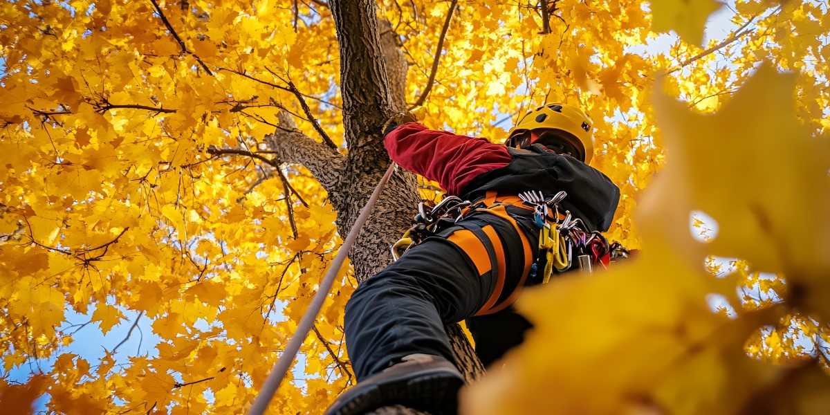 A person maintaining a tree