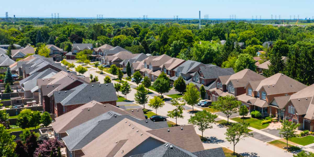 Houses surrounded by trees