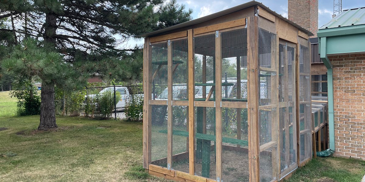 Town Catio