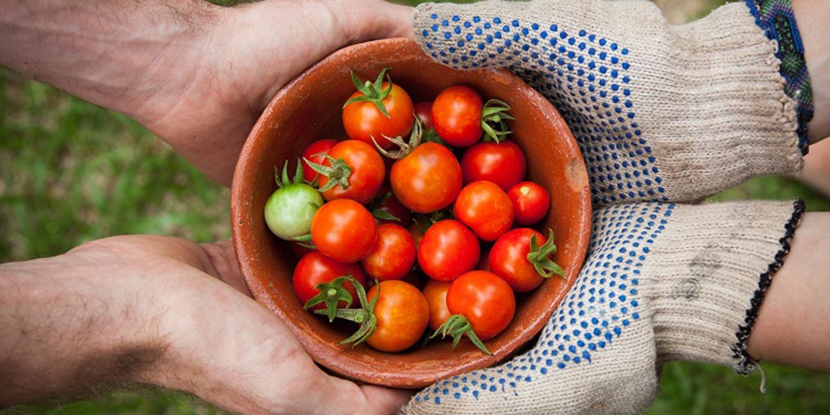 People holding vegetables