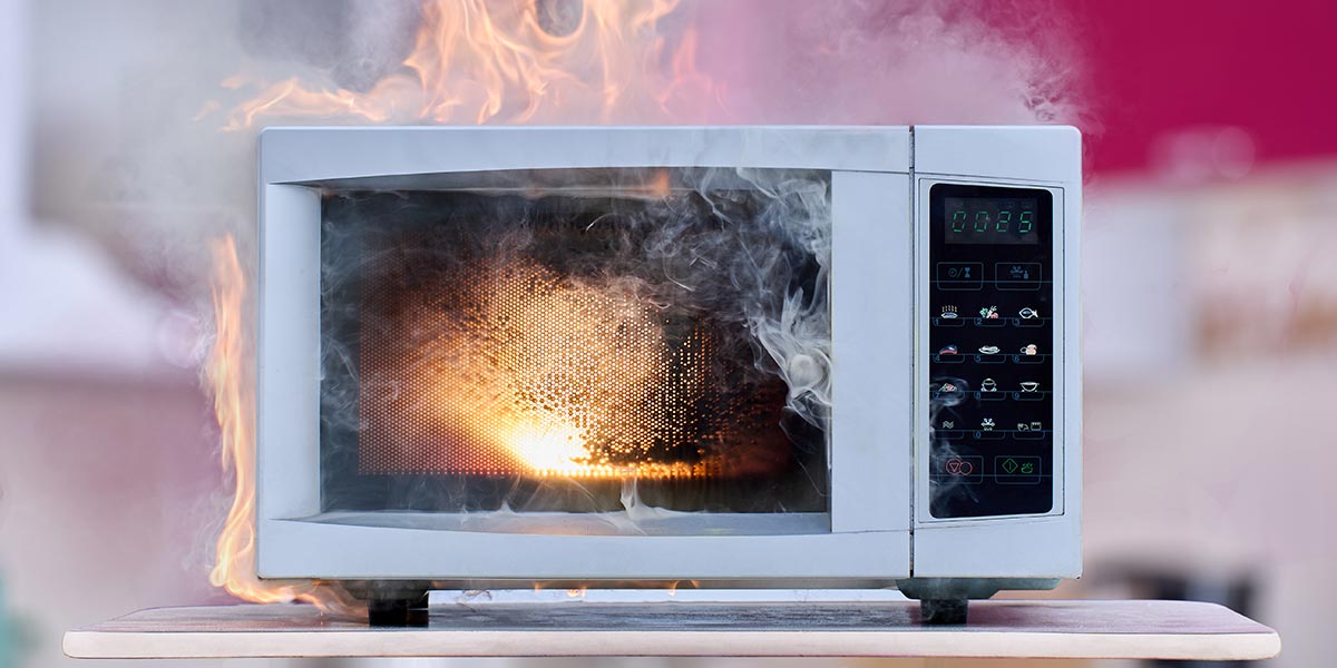 Fire in a microwave.