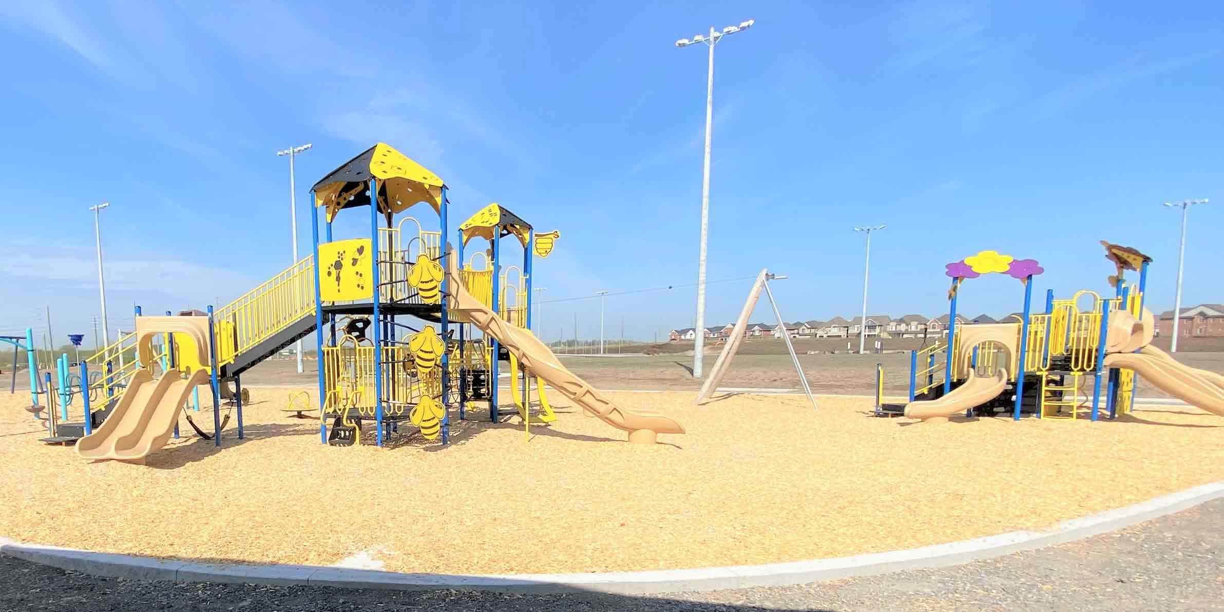 Des Newman WhitBEE Park Des Newman WhitBEE Park