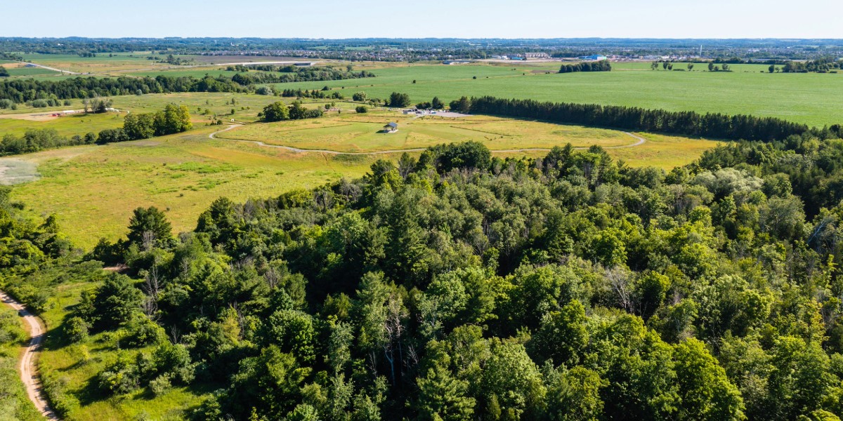 Aerial view of Heber Down Conservation Area. 