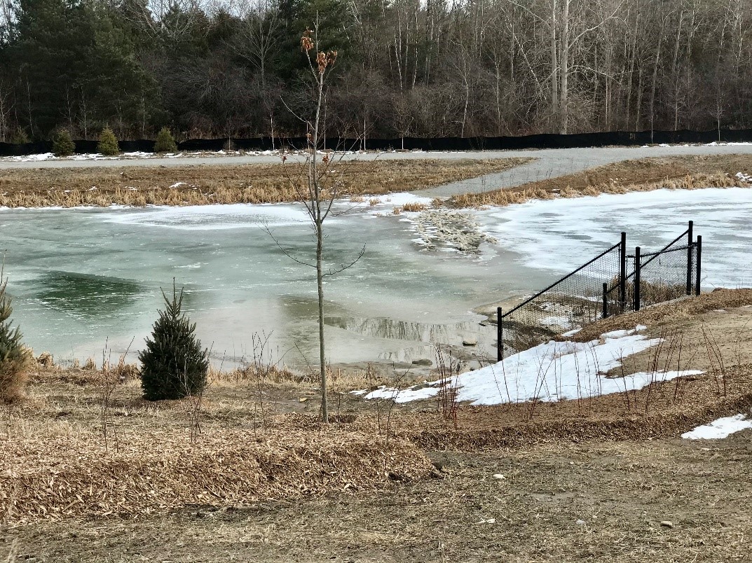 Frozen Stormwater Pond