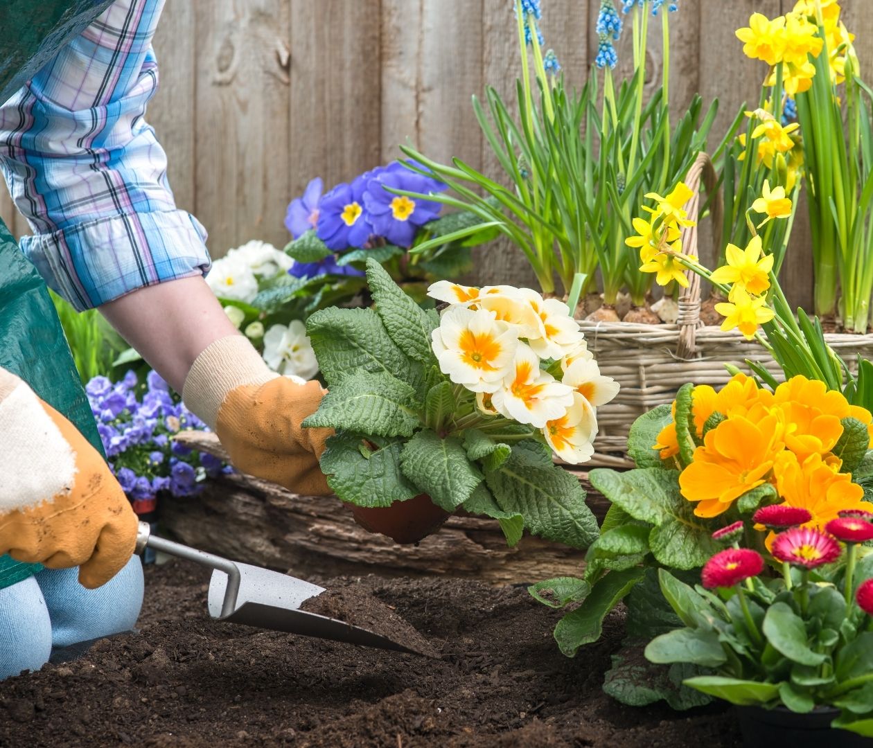 Gardening in a flowerbed