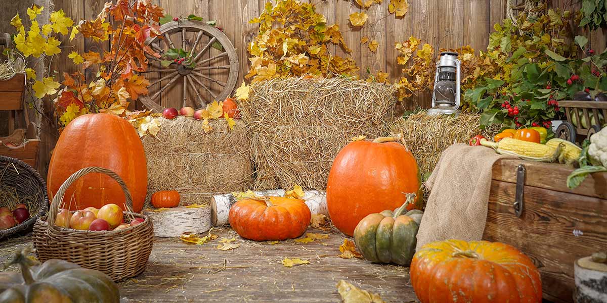 Pumpkins surrounded by hay