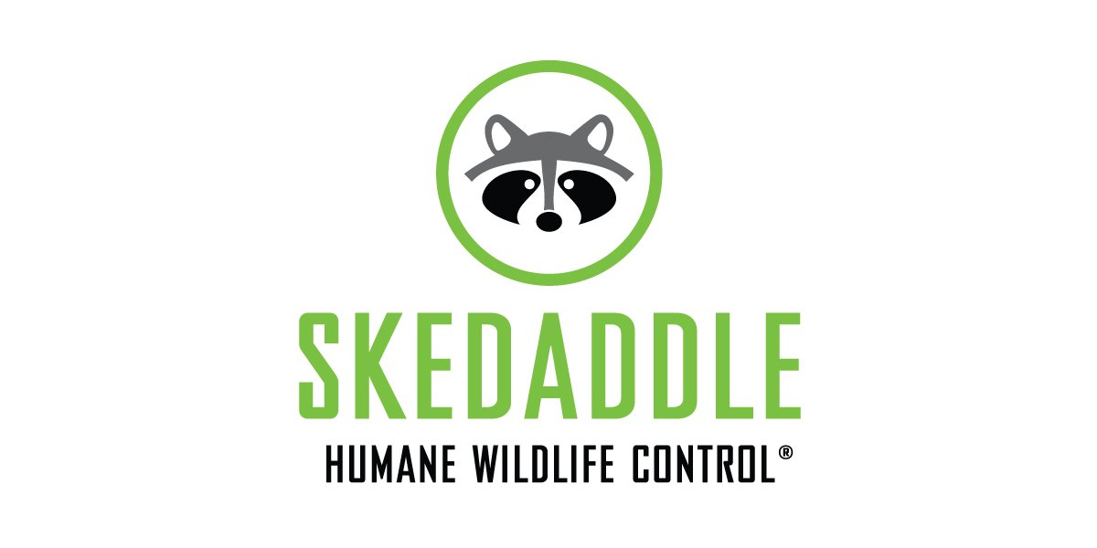 Skedaddle Humane Wildlife Control logo