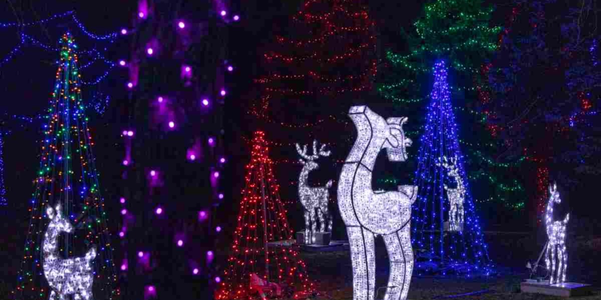Trees lit up in park with light up animals