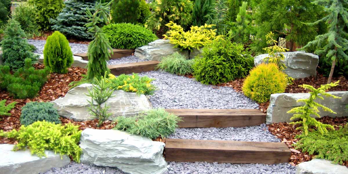 Garden with various plants