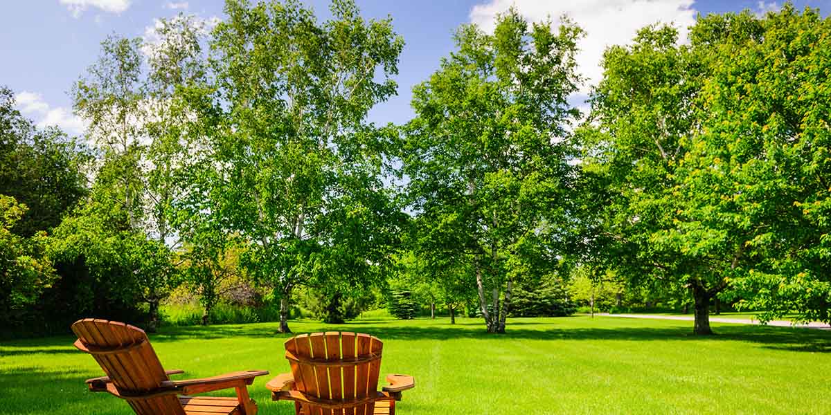 A backyard with mature trees