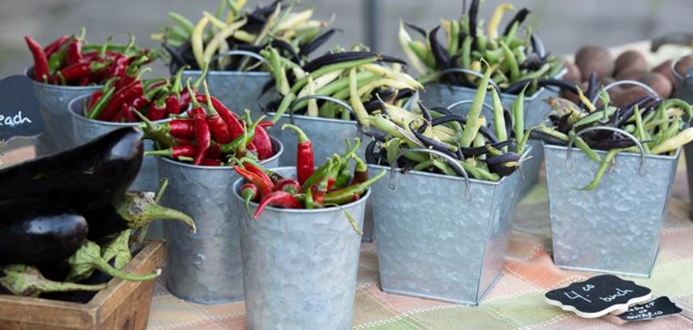 Whitby Farmers' Market - Peppers for Sale