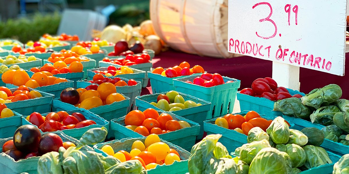 Fresh vegetables on a table in containers