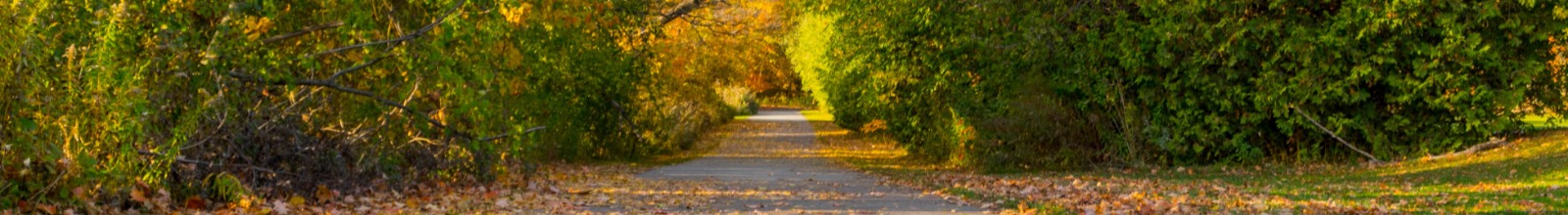 Walking trail