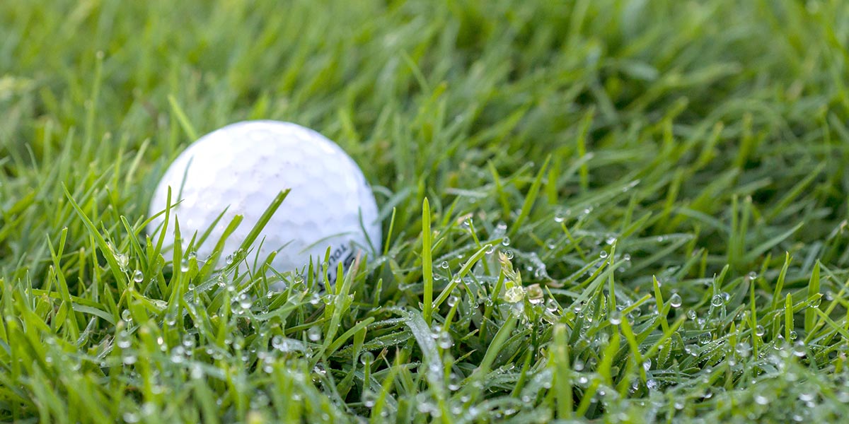 Golf ball in turf