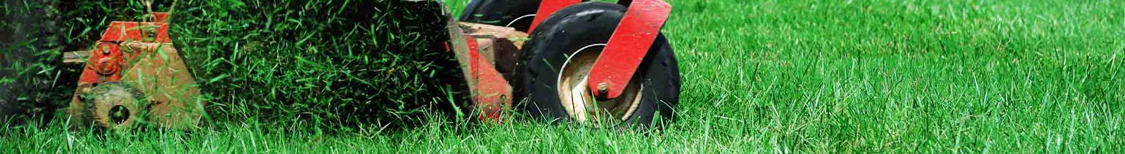 Grass being cut 