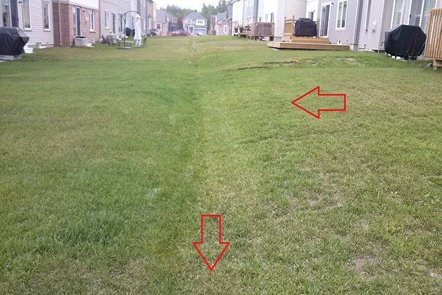 Photo of a property with connected swales