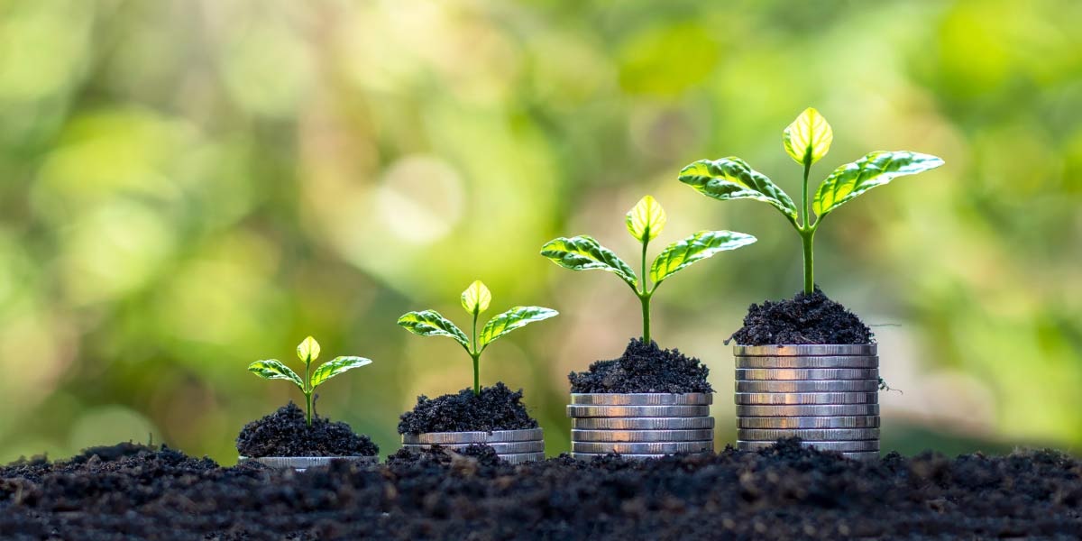 Coins growing from ground