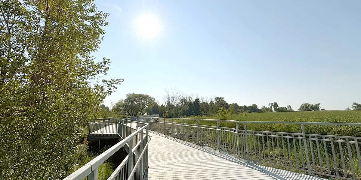 Corbett-Trail_2025_TOW_120x600px_01.jpg