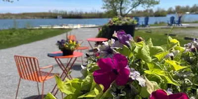 Close up of flowers in planter by the lake 