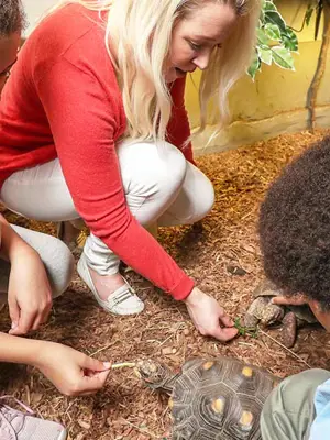 Kids digging for insects at Reptilia 