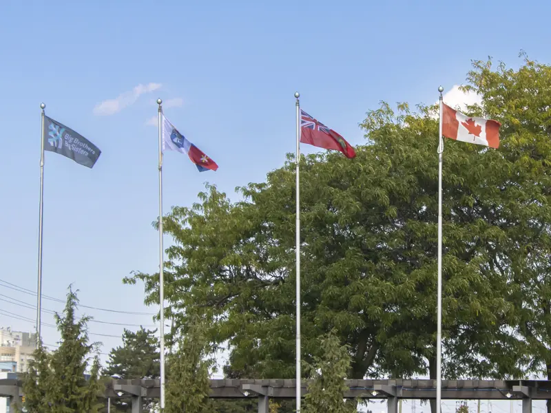 Flags out front of Whitby Town Hall